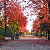 High School - Inglese - Canada - Ontario - Lambton Kent