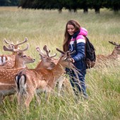 Corso di lingua - Inglese - Irlanda - Dublino