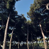 English Summer Camp - Inglese - Italia - Marina di Massa