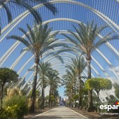 Vacanza studio - Spagna - Valencia