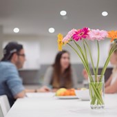Corso di lingua - Inglese - Inghilterra - Bournemouth
