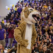 High School - Inglese - USA - New York - Warwick Valley HS