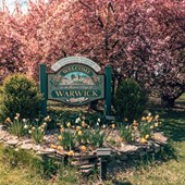 High School - Inglese - USA - New York - Warwick Valley HS