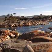 High School - Inglese - Australia - Tasmania