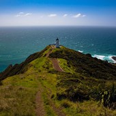 High School - Inglese - Nuova Zelanda - Bay of Plenty - Mt Maunganui College