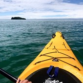 High School - Inglese - Nuova Zelanda - Bay of Plenty - Mt Maunganui College