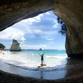 High School - Inglese - Nuova Zelanda - Bay of Plenty - Mt Maunganui College