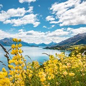 High School - Inglese - Nuova Zelanda - Queenstown - Wakatipu HS