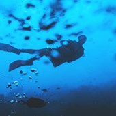 Sliema - Diving