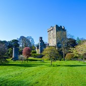 Cork - Blarney Castle 