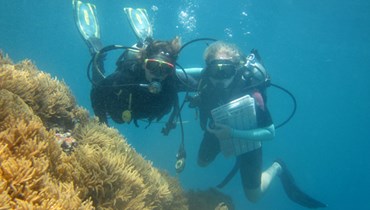 Scopri da vicino la flora e la fauna marina di luoghi meravigliosi e contribuisci alla loro salvaguardia!  Durante il tuo viaggio solidale ti unirai a un team di volontari internazionali, stringerai nuove amicizie e metterai in pratica le tue competenze linguistiche.