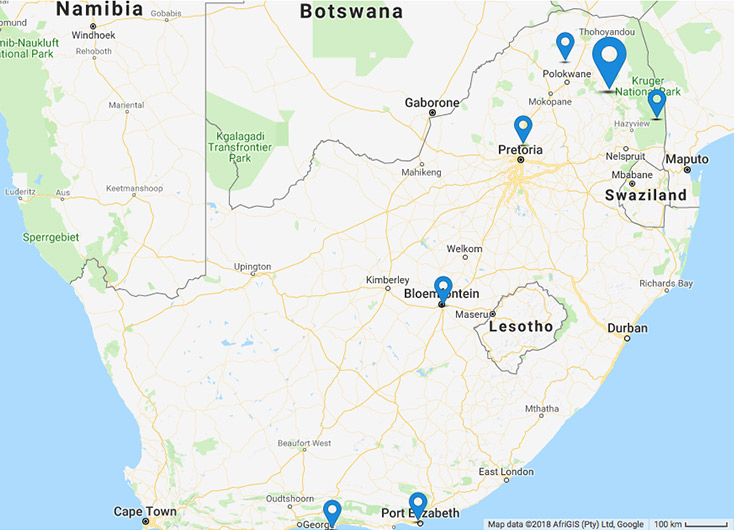 Nel cuore della Balule Game Reserve, una riserva naturale privata ai confini del Kruger National Park.