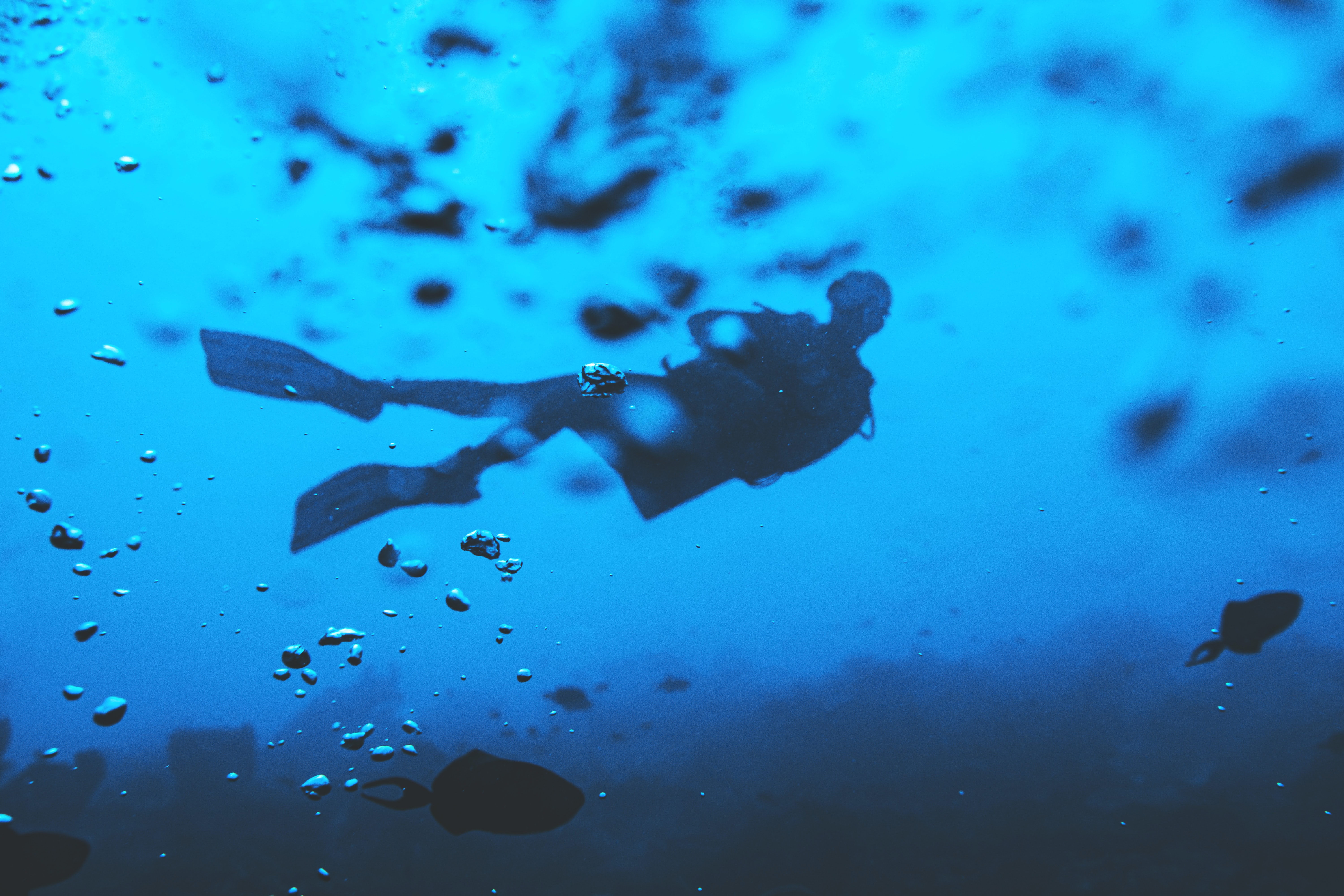 Sliema - Diving