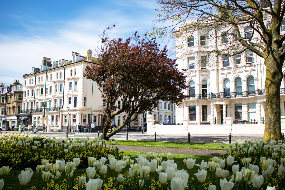 Vacanze Studio - Inglese - Gran Bretagna - Brighton