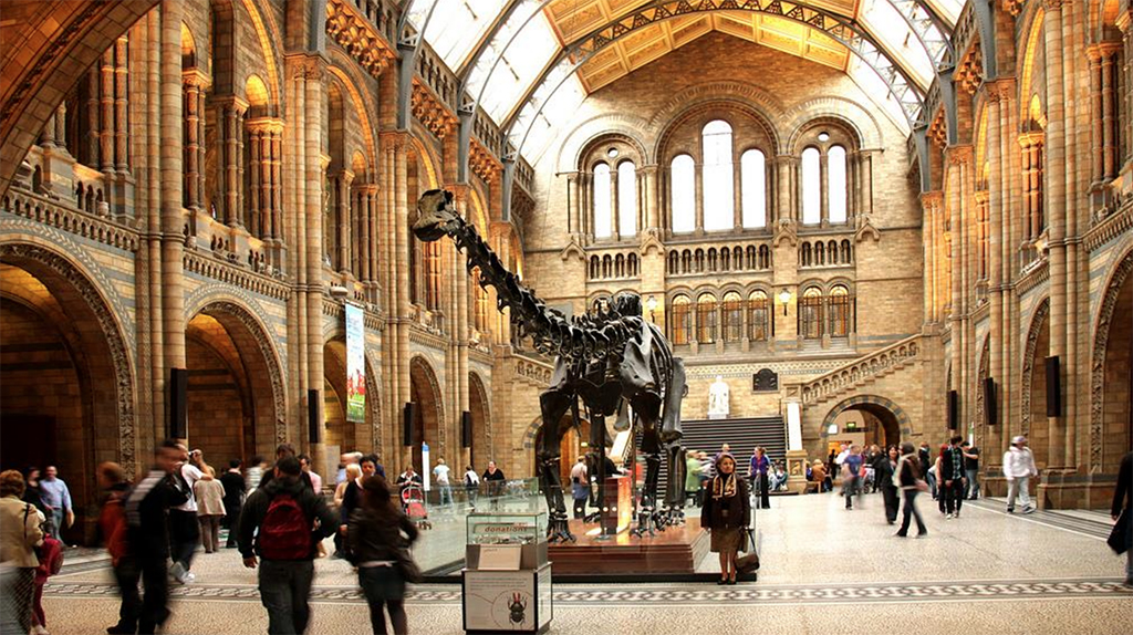 Vacanze Studio - Inglese - Gran Bretagna - London