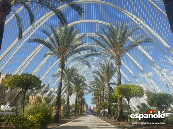 Vacanza studio - Spagna - Valencia