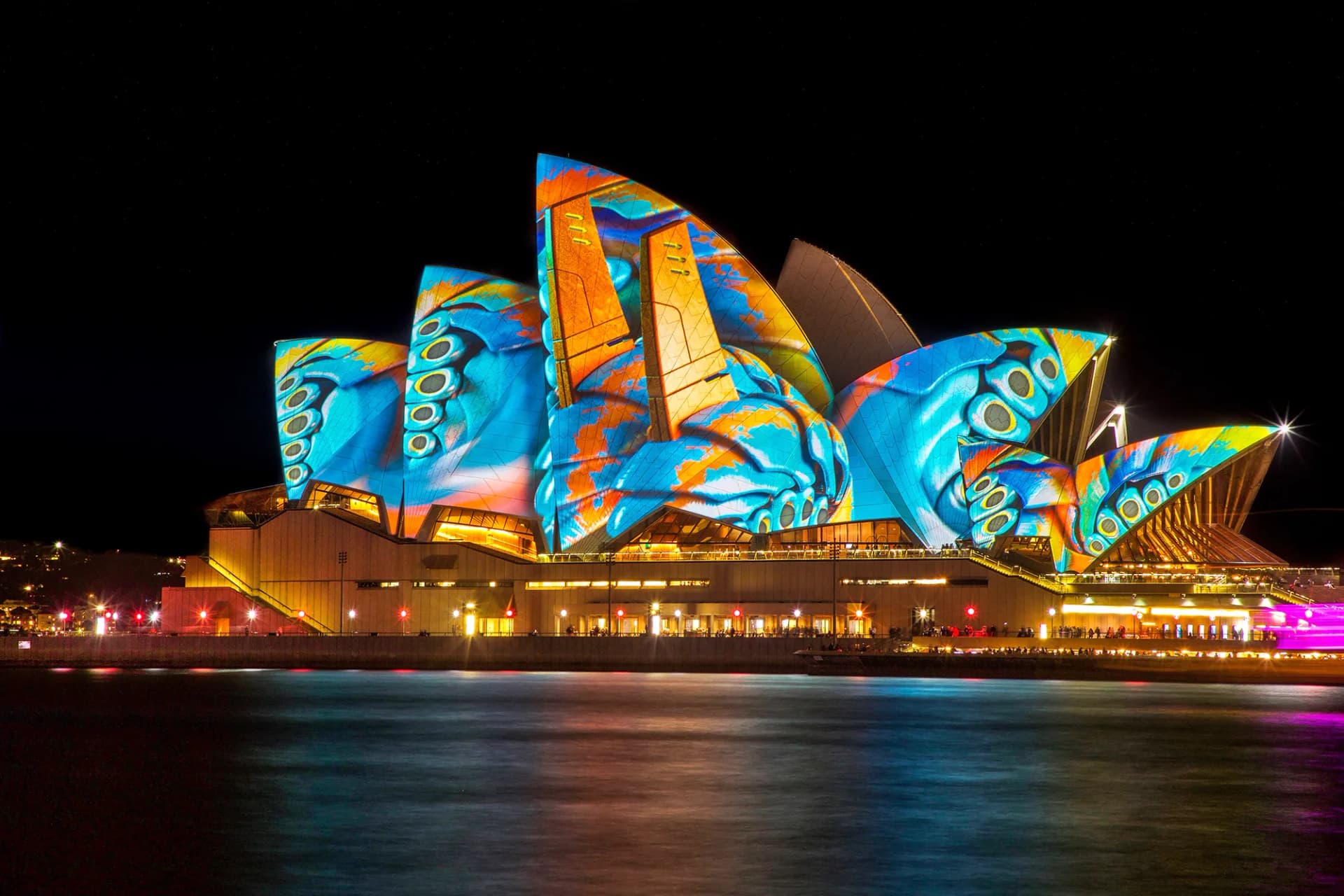 Sydney Opera House illuminata di notte, simbolo della città durante un anno all’estero in Australia e del contesto urbano del sistema scolastico australiano.