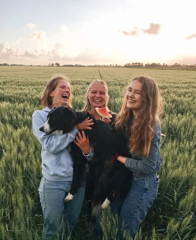 High School Netherlands - friends in the field