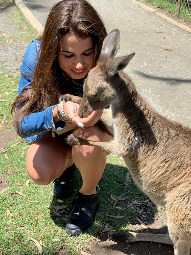Corsi di lingua inglese a Sydney, studentessa accarezza un canguro durante un'escursione in Australia