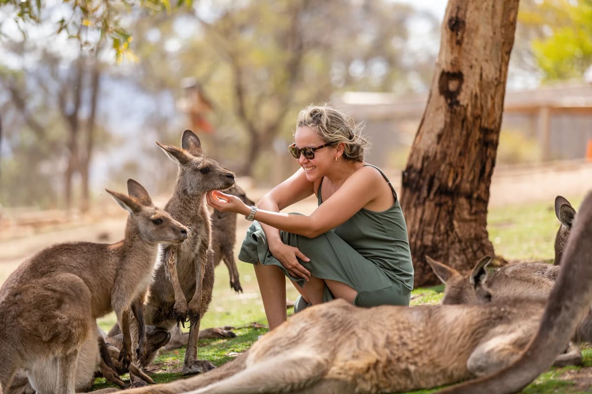 Studentessa interagisce con canguri durante un Anno scolastico all’estero in Australia, vivendo un’esperienza autentica.